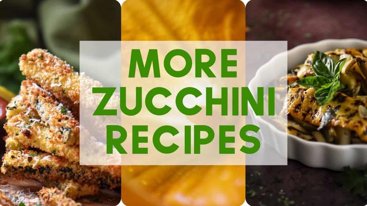 A photo collage of zucchini recipes.