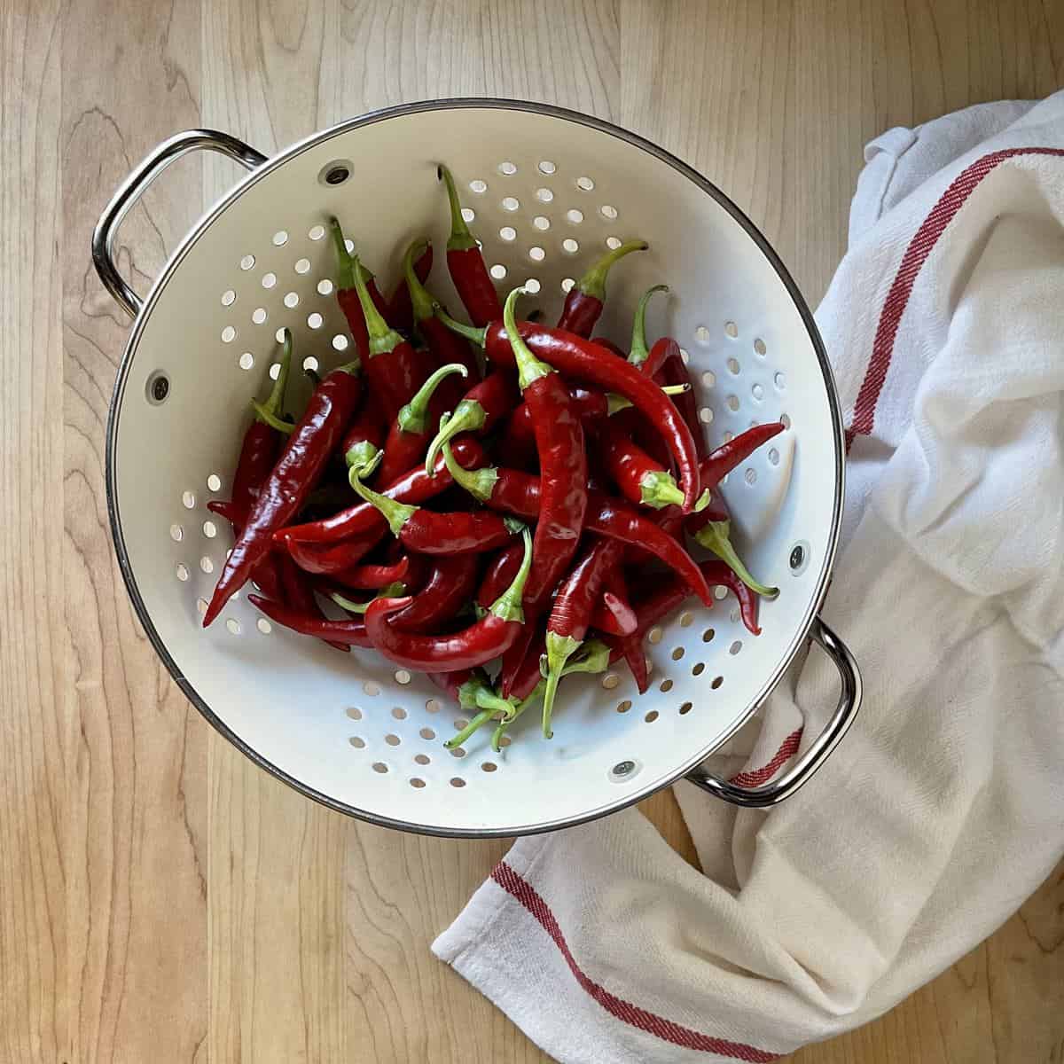 Fresh peppers in a colander.