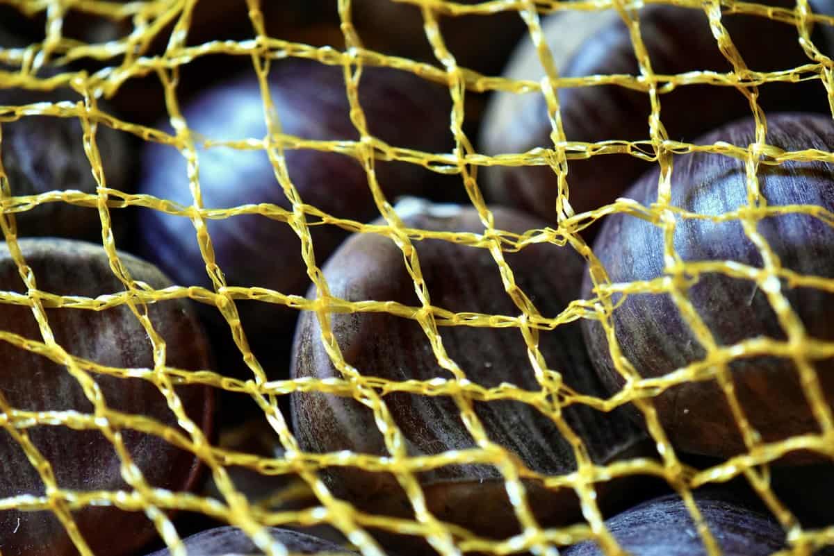 Chestnuts in a yellow mesh bag.