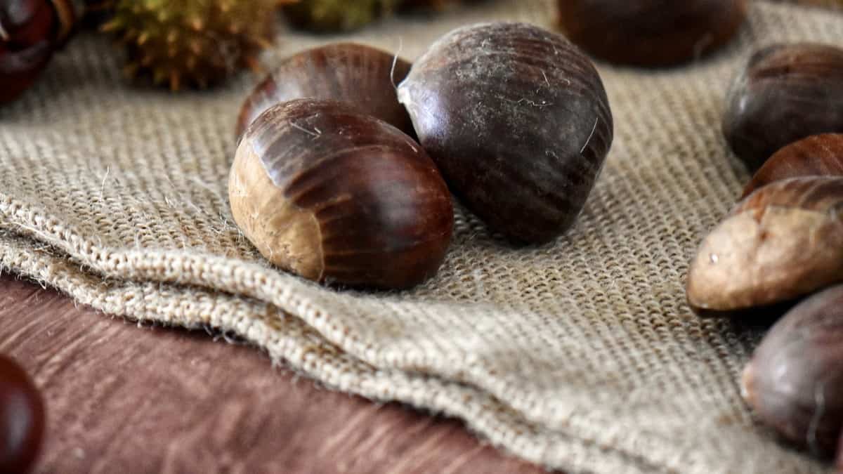 Chestnuts on a burlap sack.