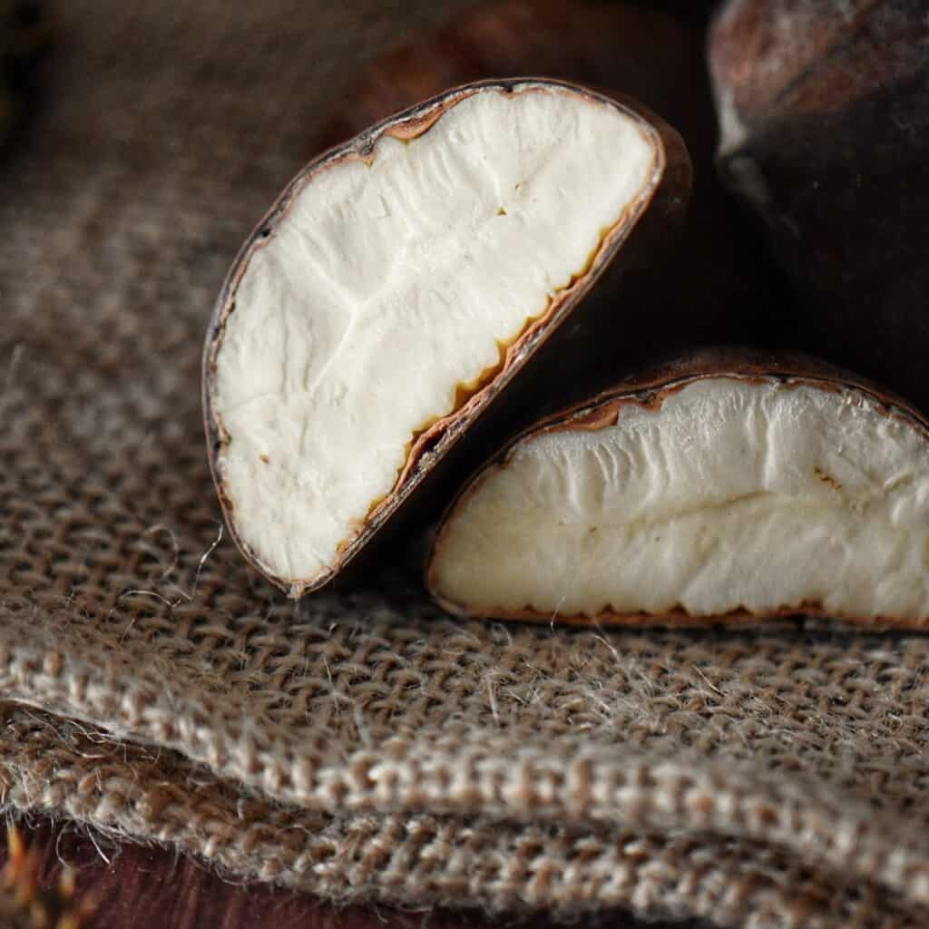 The creamy white interior of a chestnut.