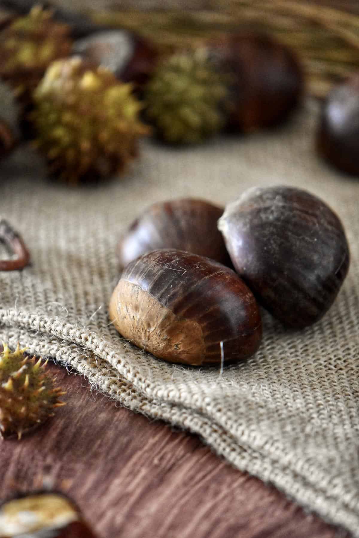 A group of three chestnuts on a Chestnuts on a burlap sack.