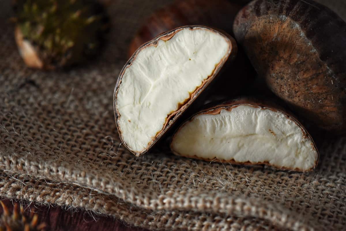 The creamy white interior of a chestnut.