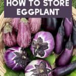 A variety of eggplants in a wicker basket