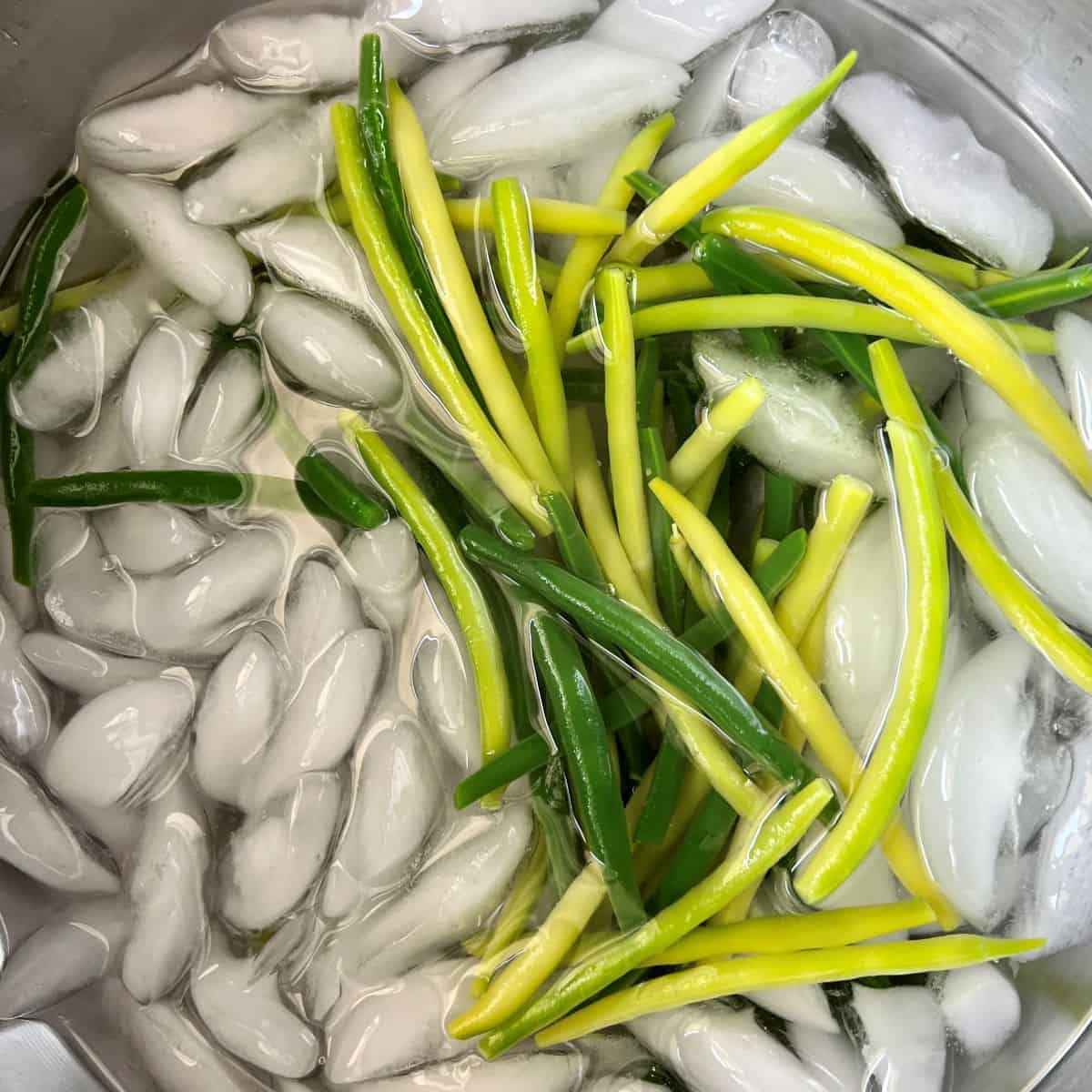 Fresh garden beans in an ice water bath.