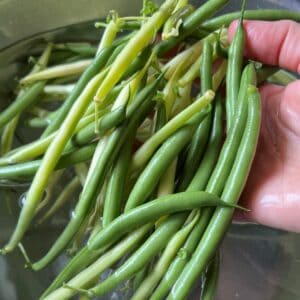 Fresh green and yellow beans being washed.