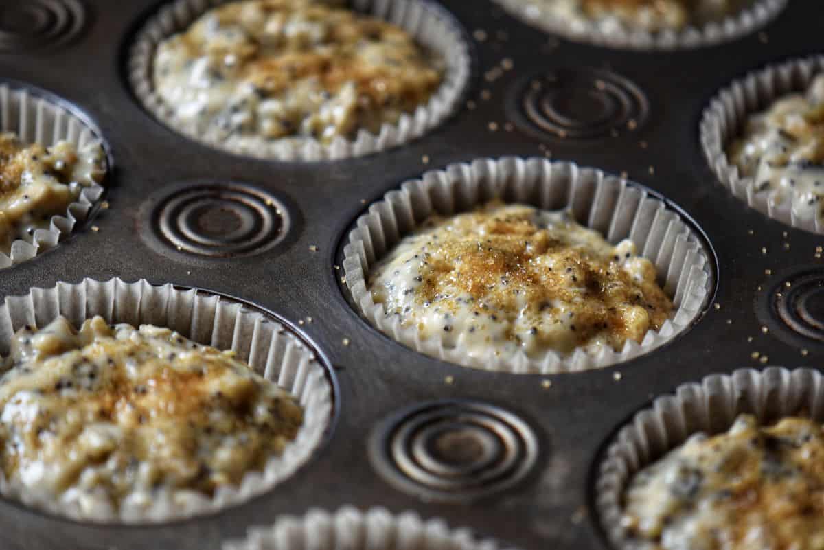 Lemon poppy seed muffins portioned in muffin cups.