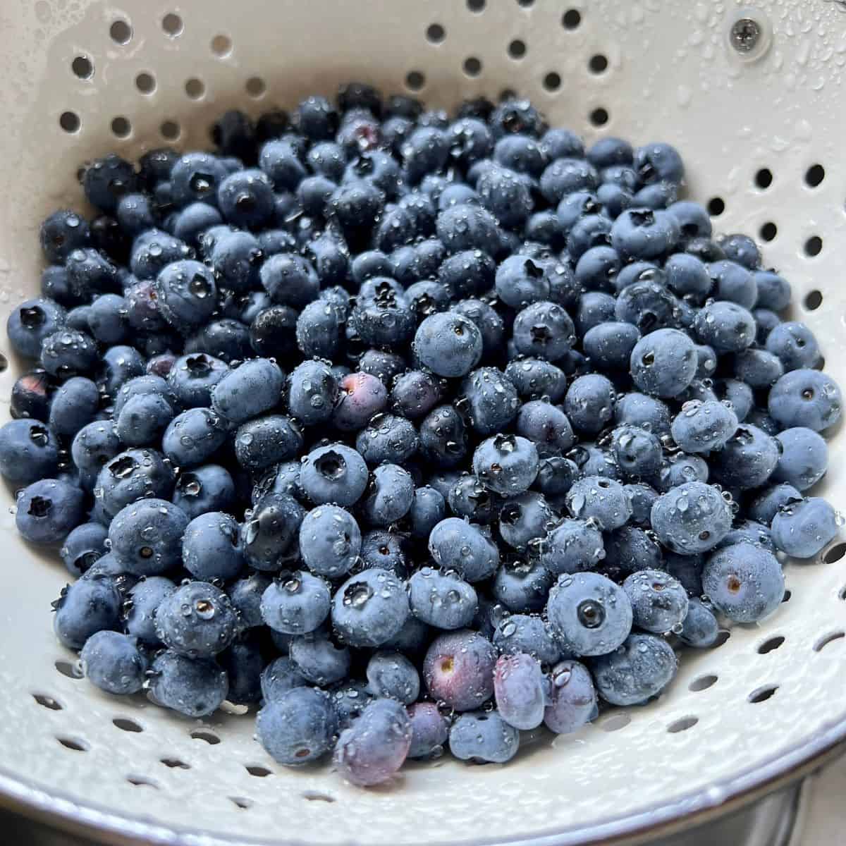 Fresh blueberries in a white colander.