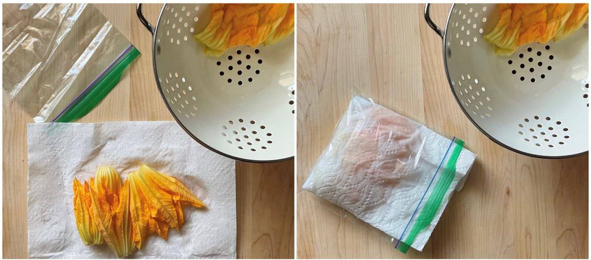 A photo collage of how to store squash blossoms in a plastic bag.