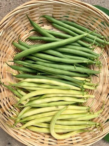 Green and yellow beans in a wicker basket.