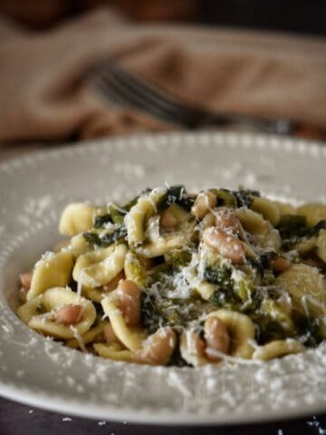 White beans, orecchiette pasta with escarole on a white plate garnished with grated cheese.
