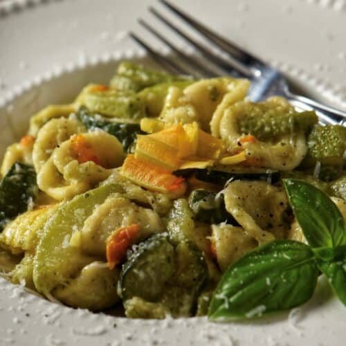 A close up photo of a plate of orecchiette pasta with zucchini.