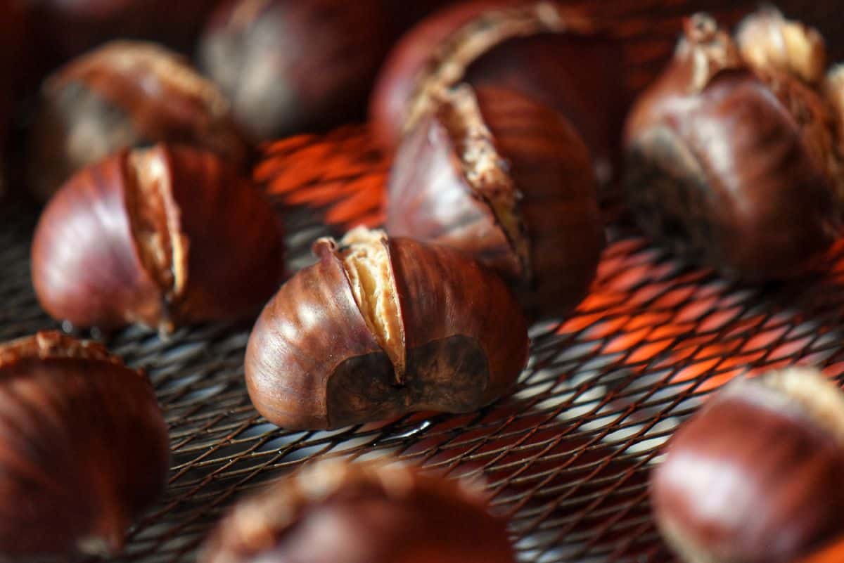 Chestnuts roasting in a Breville oven.