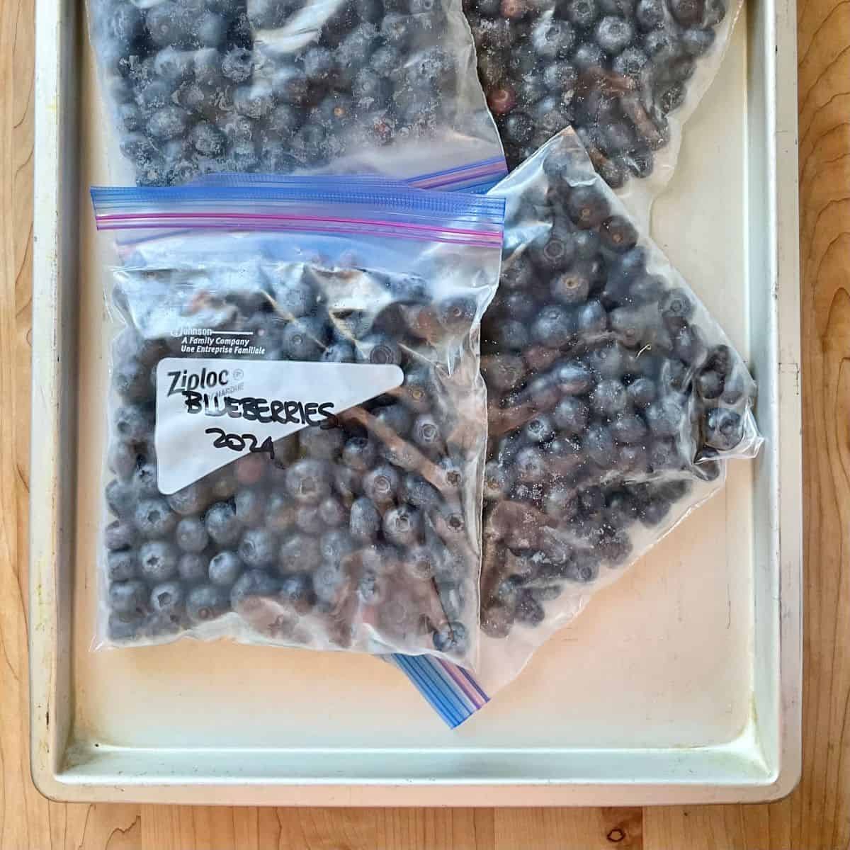 Ziplock bags filled with frozen blueberries labelled with the date.
