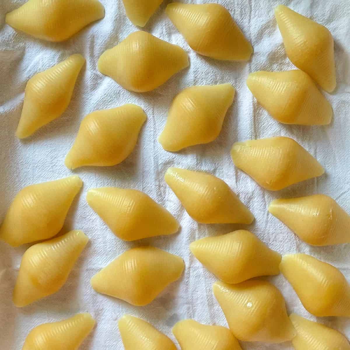 Large pasta shells on a white tea towel. 