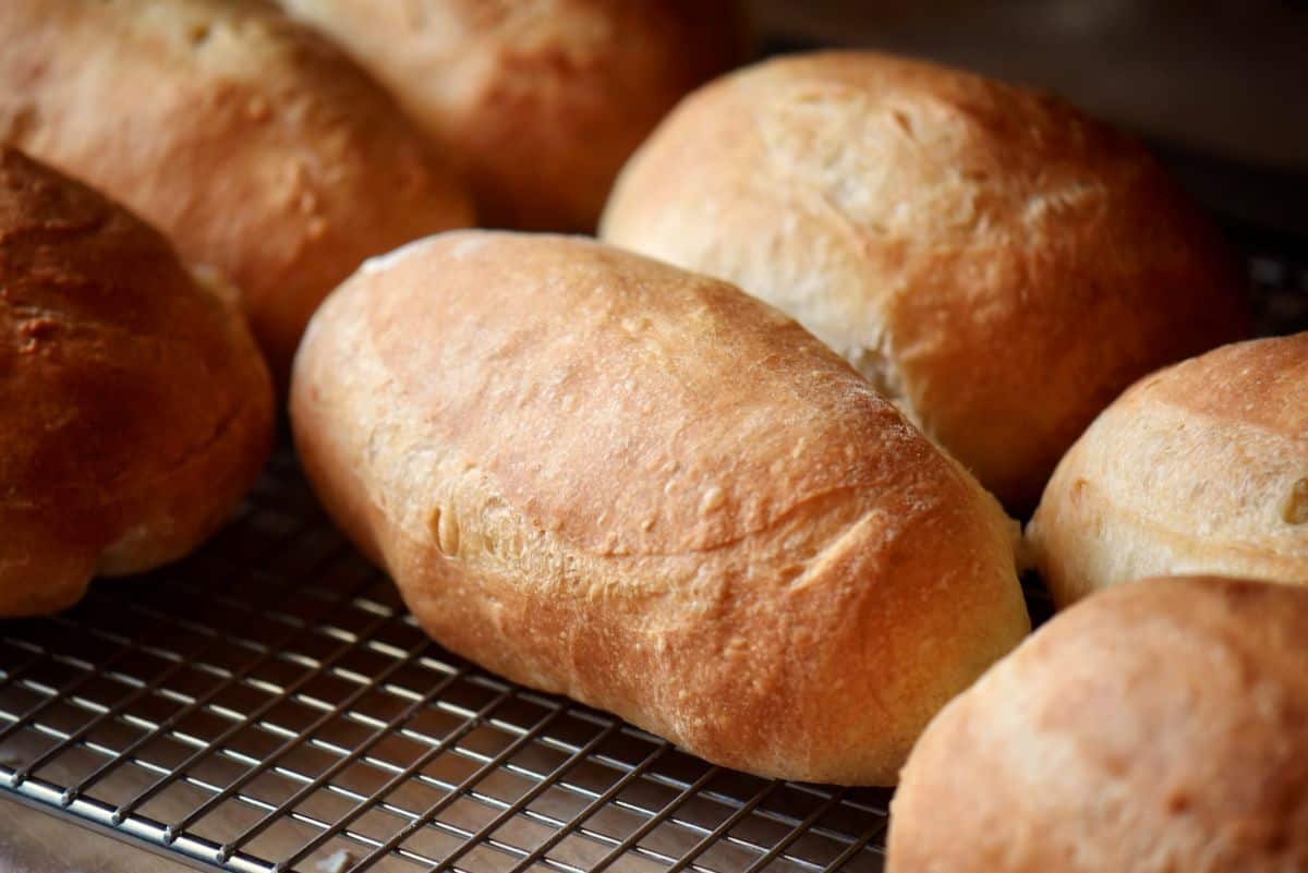 Golden baked panini rolls cooling on wire rack.