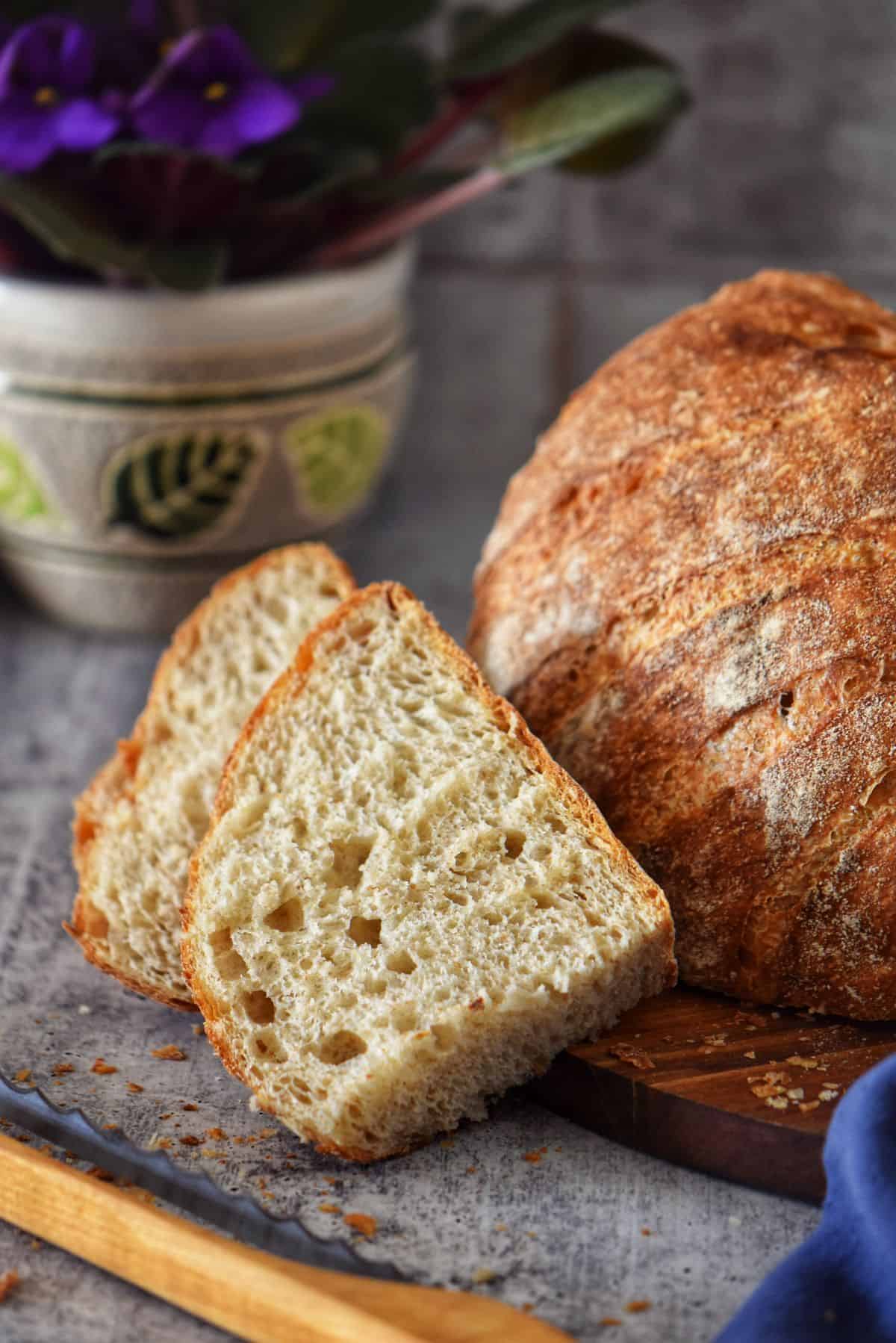 Sliced rustic Italian round bread showing the fluffy and airy texture.