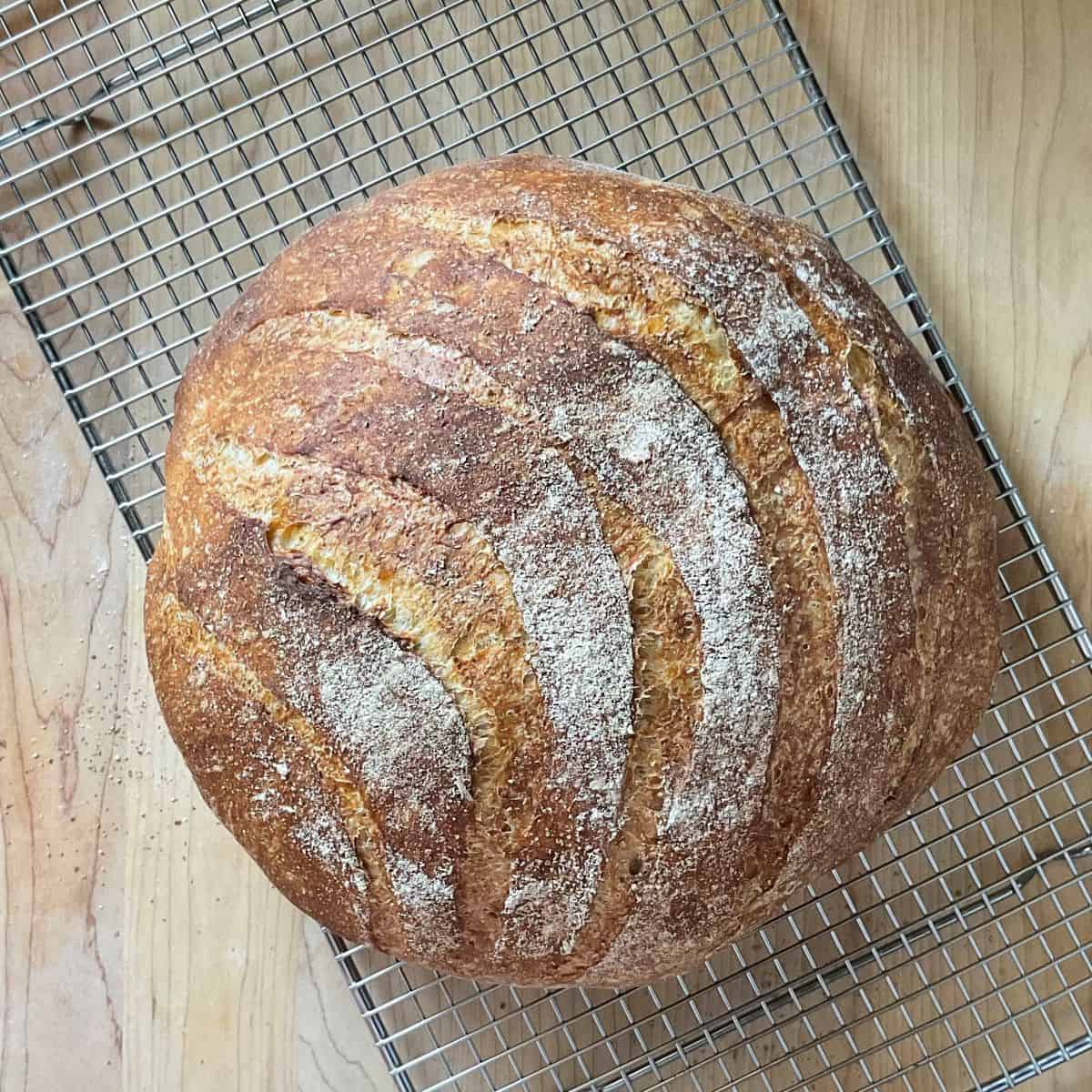 A loaf of round Italian bread on a wire rack.