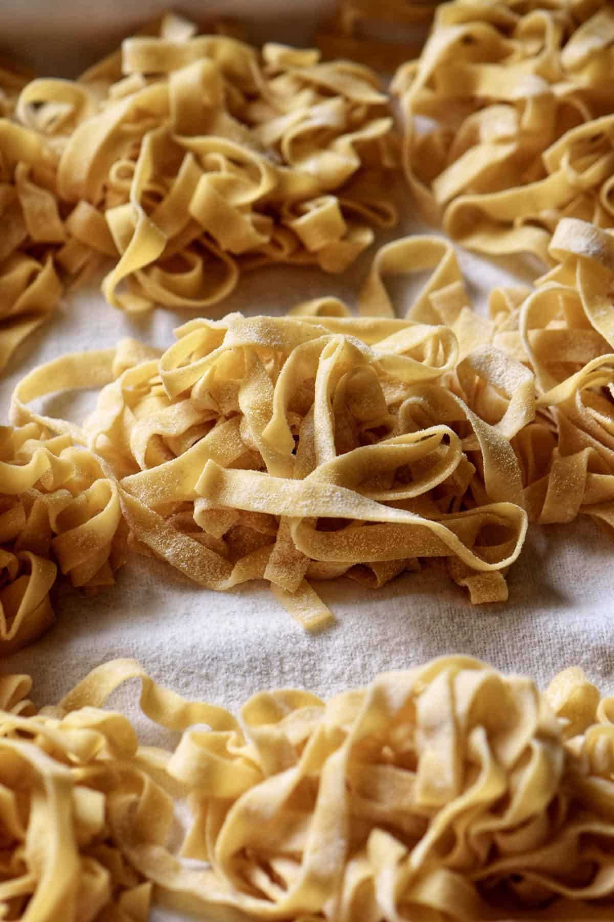 Fresh fettuccine noodles made from scratch with simple egg pasta dough.
