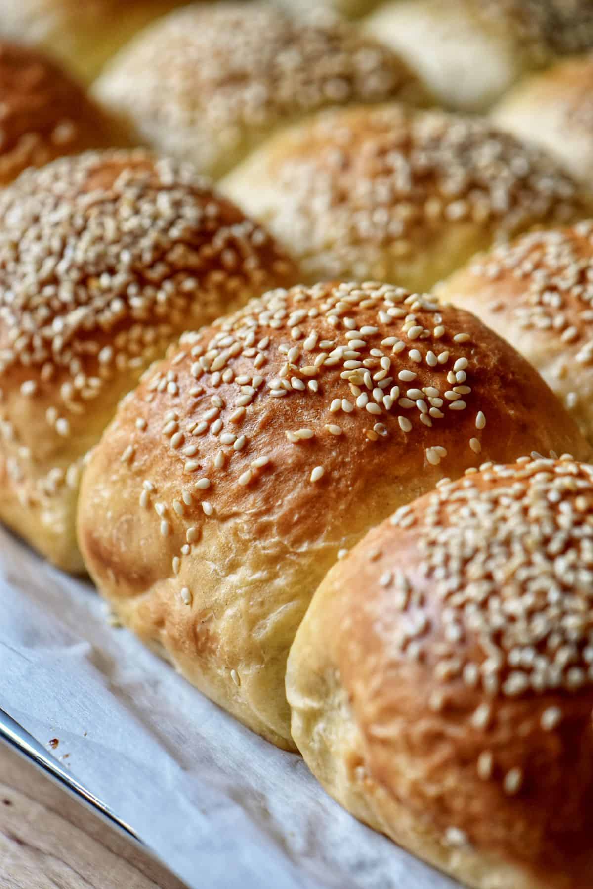 Freshly baked, golden soft dinner rolls garnished with sesame seeds.