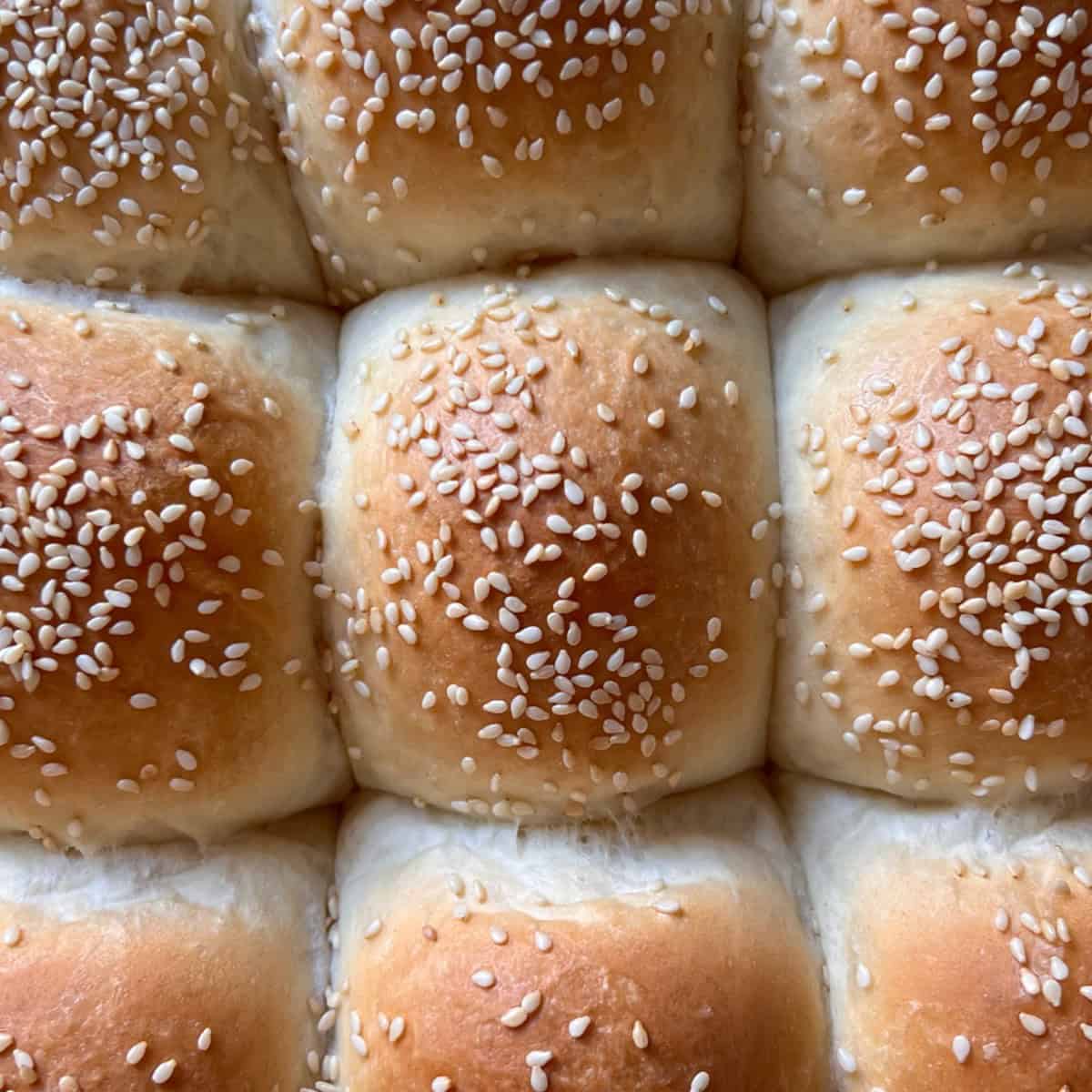Overhead view, of freshly baked, golden soft dinner rolls garnished with sesame seeds.